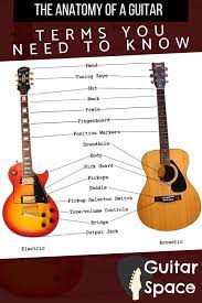The Anatomy Of A Guitar Terms You Need To Know Guitar Space Playing Guitar Learn Guitar Learn Guitar Beginner