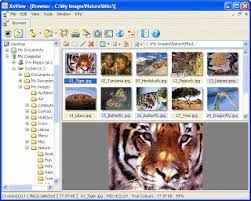Xnview mp/classic is a free image viewer to easily open and edit your photo file. Xnview 2 50 Complete Turkce Full Tam Indir Full Program Indir Full Programlar Indir Oyun Indir