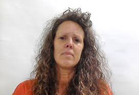 Police: Traffic stop leads to felony drug charges for 2