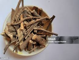 Image result for Uraria picta