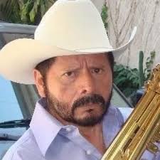 Watch Live TV, Movies, and TV Shows Free Online