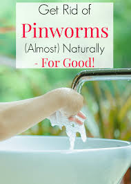 How To Treat Pinworms Almost Naturally For Good How To Treat Pinworms Kids Health Natural Remedies For Pinworms