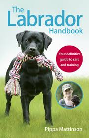 Pepto Bismol For Dogs Can You Give A Dog Pepto Bismol Puppy Training Schedule Labrador Puppy Training Potty Training Puppy