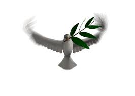 Bird Is The Word Gif With Sound Https Encrypted Tbn0 Gstatic Com Images Q Tbn 3aand9gct Hh3ufkf76xg97w6tgpgduu S5wgaw9 V9q Usqp Cau