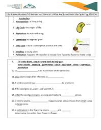 We did not find results for: Some Plants Life Cycle Worksheet