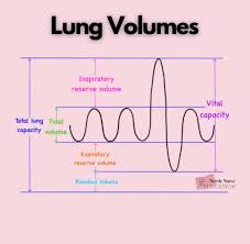 Image result for Vital Capacity