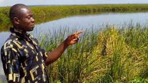 nyanza swamp weeks after raila accused