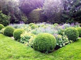 Box Ball Garden Boxwood Garden Grasses Landscaping Landscape Design