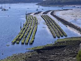 Jul 27, 2021 · situé au sud de la bretagne, le morbihan est une petite mer à découvrir pour la diversité de ses paysages, ses eaux et ses îles située dans le golfe du morbihan. Morbihan Sandstrande Und Megalithkultur Im Suden Der Bretagne Ferienhaus Bretagne