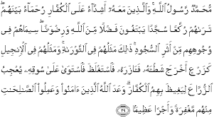 Maybe you would like to learn more about one of these? Quran Surah Al Fath 29 Qs 48 29 In Arabic And English Translation Alquran English