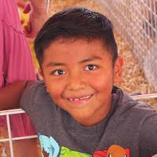 WISE Readers to Leaders