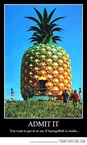 You Want To Get In Spongebob Squarepants Spongebob Squarepants