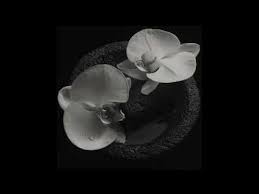 Mike Patton Jean Claude Vannier Corpse Flower 2019 Smoky Swirl Vinyl Discogs