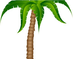 Download Christmas Lights Clipart Palm Tree Cartoon Palm Tree Transparent Background Full Size Png Image Pngkit Free download 34 best quality palm tree silhouette transparent at getdrawings. download christmas lights clipart palm