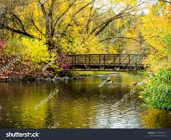Foot Bridge Cool Autumn Day Displays Stock Photo 739003255