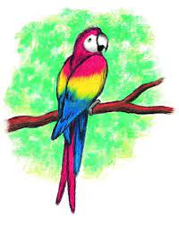 Pin On Parrots
