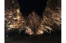 Commew（コミュー）｜薬学個別指導／薬学オンライン家庭教師・学習パーソナルサポーター