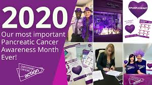 Located near the stomach and liver, the pancreas is around 6 inches long, wider at the head and tapering toward the end. 2020 Our Most Important Pancreatic Cancer Awareness Month Ever Pancreatic Cancer Action
