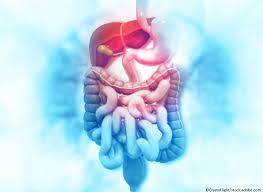 But researchers think the illness also may harm your digestive tract and liver tissue. New Study Reveals Gastrointestinal Symptoms Are Prominent In Covid 19 Patient Care Online