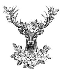 Most of all, it takes a lot of skill in order to pump out a pencil drawing. Pencil Sketch Stock Photos And Images 123rf