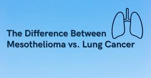 Learn the symptoms, prognosis and treatment options for malignant mesothelioma. Mesothelioma Vs Lung Cancer How To Spot The Differences