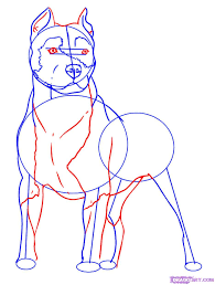 How To Draw A Pitbull Step By Step Pets Animals Free Online Drawing Tutorial Added By Dawn February 6 2008 Pitbull Drawing Animal Drawings Dog Drawing Lear how to draw a cute american bulldog puppy easy, step by step drawing lesson tutorial. how to draw a pitbull step by step