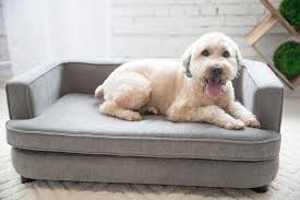 We did not find results for: Lazy Boy Pet Beds Online
