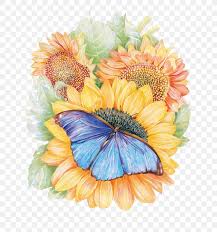 Butterfly and flower drawing colour butterfly and flower drawing images butterfly jasmine flower. Monarch Butterfly Flower Drawing Painting Png 658x877px Butterfly Art Chrysanths Colored Pencil Common Sunflower Download Free