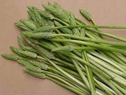 We did not find results for: Tout Savoir Sur L Asperge Des Bois Potager City