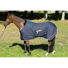 We did not find results for: Chemise De Box 400g Penelope Leprevost