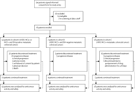 Cancer that starts in your colon can sometimes spread to other parts of your body, including the liver. Trastuzumab Deruxtecan Ds 8201 In Patients With Her2 Expressing Metastatic Colorectal Cancer Destiny Crc01 A Multicentre Open Label Phase 2 Trial The Lancet Oncology