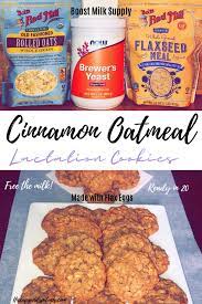 Skinny Cinnamon Oatmeal Lactation Cookies Hiccups Spitups Recipe Breastfeeding Foods Lactation Recipes Lactation Cookies