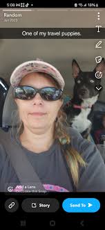 I took a 2 week vacation during the holidays and my husband stayed home  with the dogs. My poor Elmo here went