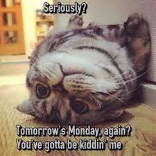 funny sunday quotes | Tumblr via Relatably.com
