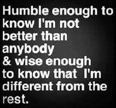 28 Never Been A Follower Ideas Words Of Wisdom Inspirational Quotes Me Quotes