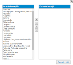 Image result for Justicia tenella