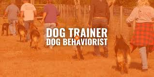Want to see who made the cut? Dog Behaviorist Vs Dog Trainer What S The Difference