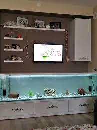 Tv Unitesi Akvaryum Aquarium Design Homemade Aquarium Wall Aquarium