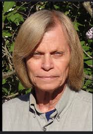 Does anyone watch Little Kelley? If so what how to train your dragon mod  did she use?