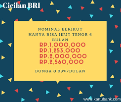 Fasilitas perubahan total tagihan menjadi cicilan ini bisa membantu kamu untuk menyelesaikan masalah kartu kredit juga. Cara Ubah Perbelanjaan Kartu Kredit Bri Jadi Cicilan Hingga 24 Bulan Kartu Bank