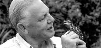 INTERVIEW: Gavin Thurston