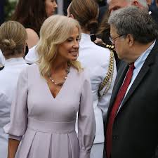 Kellyanne conway worked as a professional pollster, running her own company and working with prominent republican political figures to aid their efforts to connect with female voters. Claudia Conway Posts Tiktok About Kellyanne Conway Covid