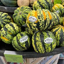 Image result for carnival acorn squash