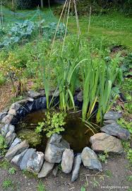 How To Build A Small Pond For The Garden Lovely Greens Ponds For Small Gardens Small Gardens Ponds Backyard