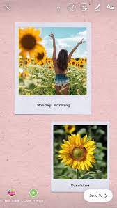 Insta Story Trick The Copy And Paste Feature Insta Story Collage Insta Story Insta Story Background