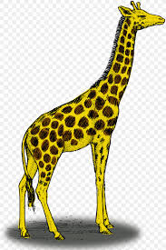 We did not find results for: Drawing Color Painting Clip Art Png 1331x1996px Drawing Animal Figure Art Color Colored Pencil Download Free