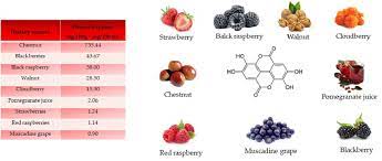 Structure And Main Foods That Contain Ellagic Acid According To The Download Scientific Diagram
