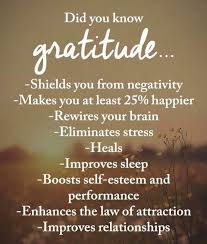 Gratitude Quotes Gratitude Grateful Bethankful Gratitude Quotes Grateful Quotes Quotes