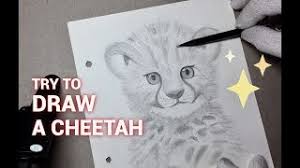 Clip art is a great way to help illustrate your diagrams and flowcharts. Try To Draw A Baby Cheetah çµè±¹ Happy Zoo 11 Step By Step Pencil Animal Drawing Youtube