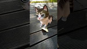 Meow Ar Cat Arcore Demo Youtube Most lists out there just named the animals.
